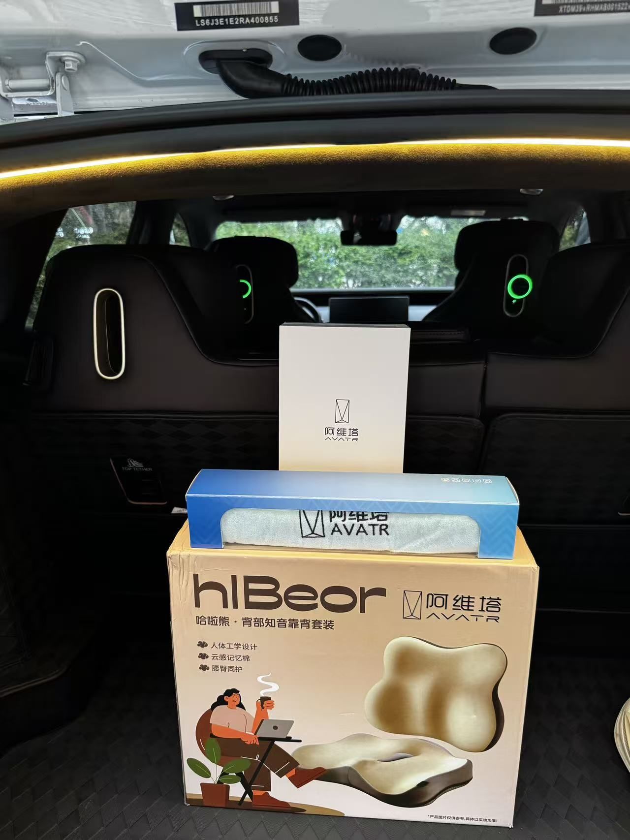 阿维塔车友福利 背部知音套装